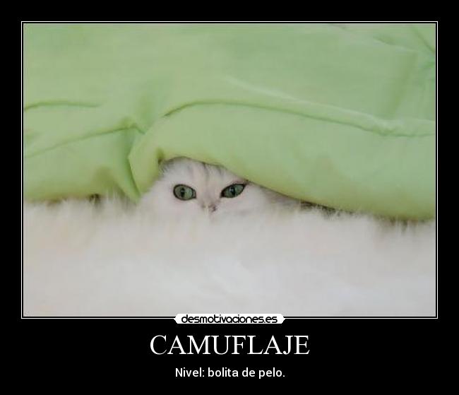 CAMUFLAJE - Nivel: bolita de pelo.