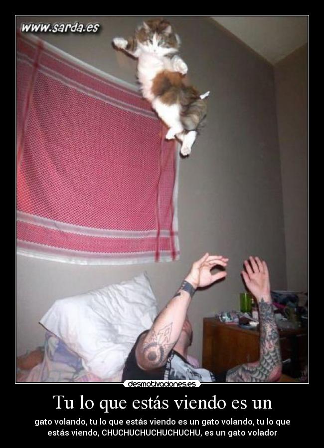 Tu lo que estás viendo es un - gato volando, tu lo que estás viendo es un gato volando, tu lo que
estás viendo, CHUCHUCHUCHUCHUCHU, es un gato volador