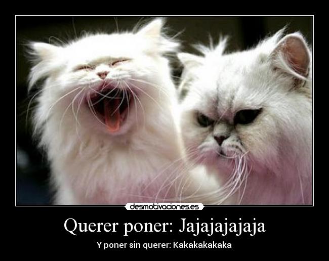 Querer poner: Jajajajajaja - Y poner sin querer: Kakakakakaka