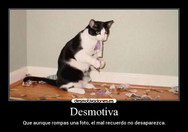 Desmotiva - Que aunque rompas una foto, el mal recuerdo no desaparezca.