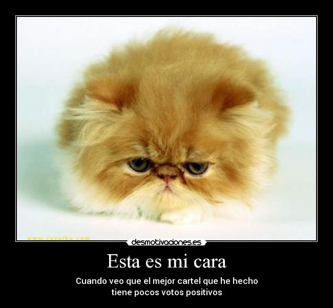Esta es mi cara - Cuando veo que el mejor cartel que he hecho
tiene pocos votos positivos