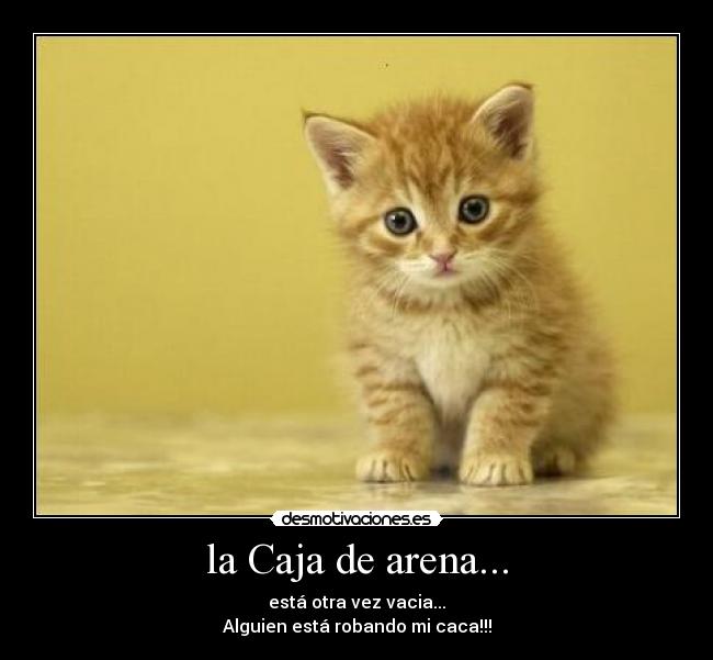 la Caja de arena... - está otra vez vacia...
Alguien está robando mi caca!!!