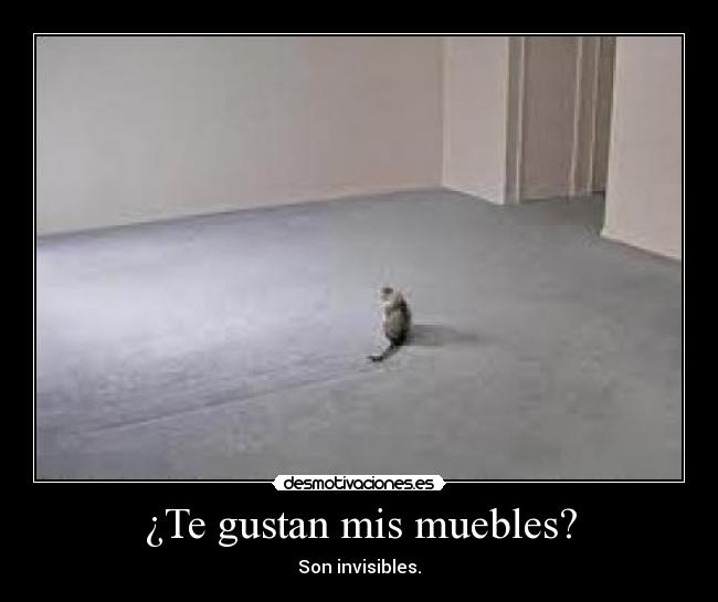 ¿Te gustan mis muebles? -