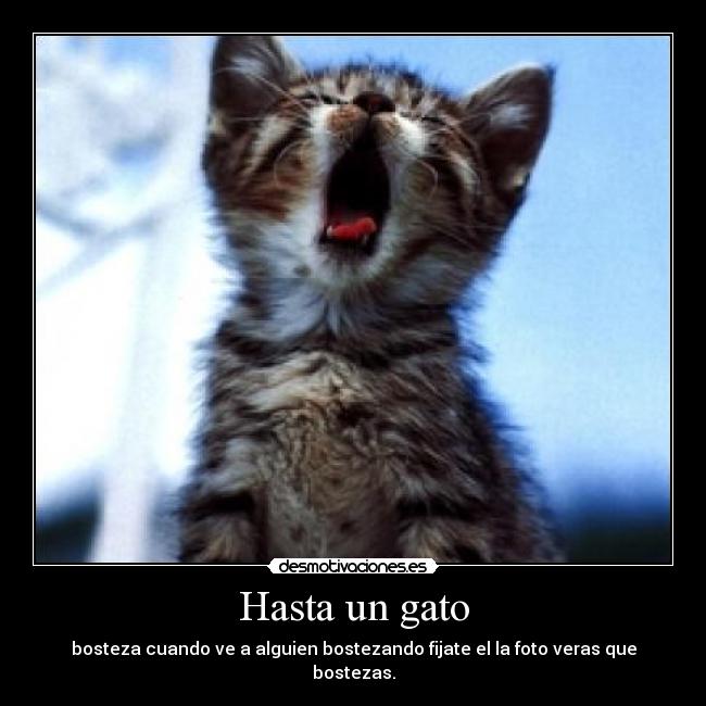 carteles desmotivaciones