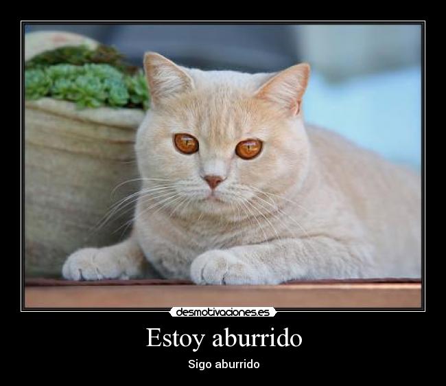 Estoy aburrido - Sigo aburrido