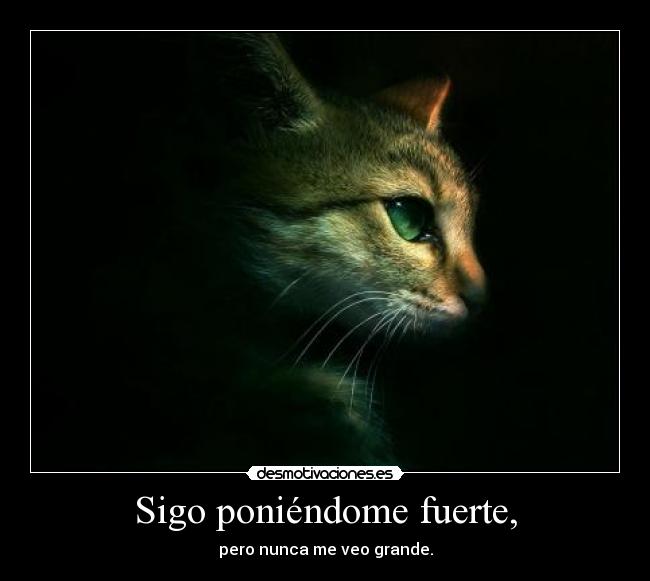 Sigo poniéndome fuerte, -