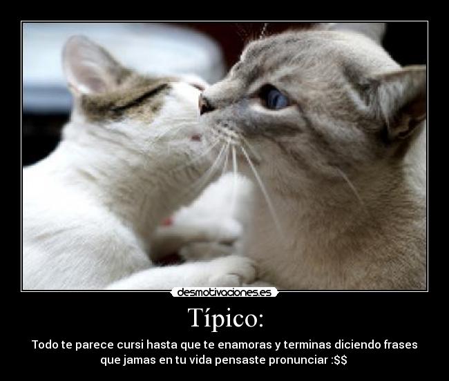 Típico: - Todo te parece cursi hasta que te enamoras y terminas diciendo frases
que jamas en tu vida pensaste pronunciar :$$ ♥