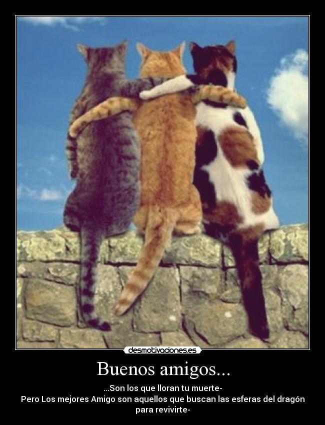 Buenos amigos... -
