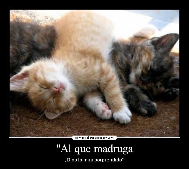 Al que madruga - , Dios lo mira sorprendido