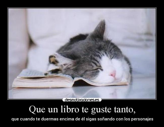 Que un libro te guste tanto, - que cuando te duermas encima de él sigas soñando con los personajes