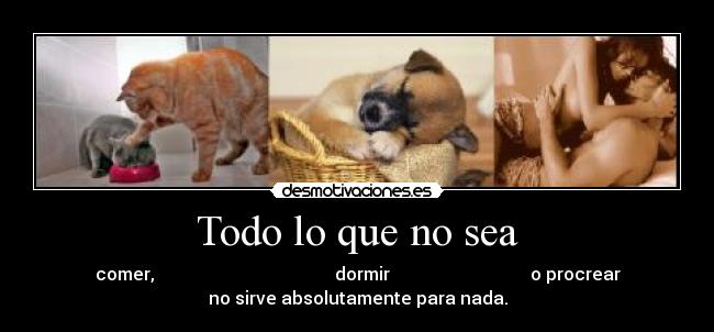 Todo lo que no sea - 