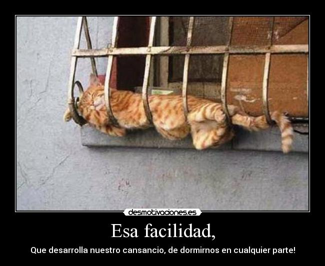 carteles esa facilidad desmotivaciones