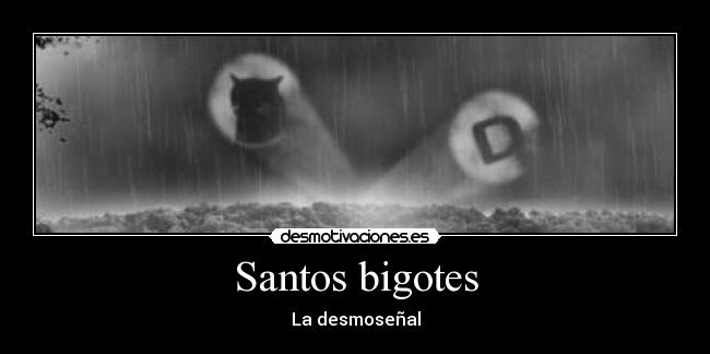 Santos bigotes - La desmoseñal