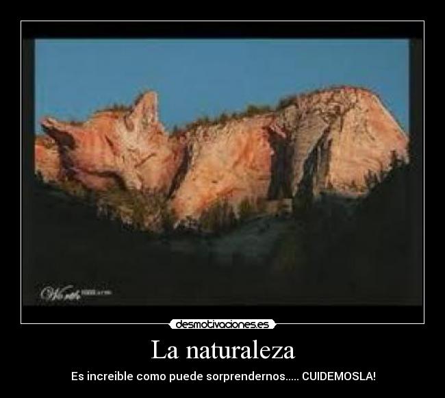 carteles naturaleza vota positivo estas tan aburrido que lees las etiquetas desmotivaciones