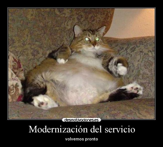 Modernización del servicio - volvemos pronto