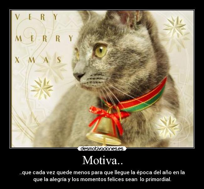 Motiva.. - ..que cada vez quede menos para que llegue la época del año en la
que la alegría y los momentos felices sean lo primordial.