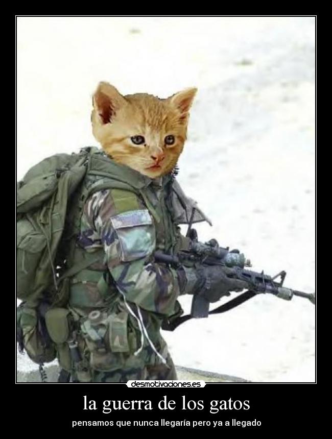 carteles guerra gatos manuel zaz desmotivaciones