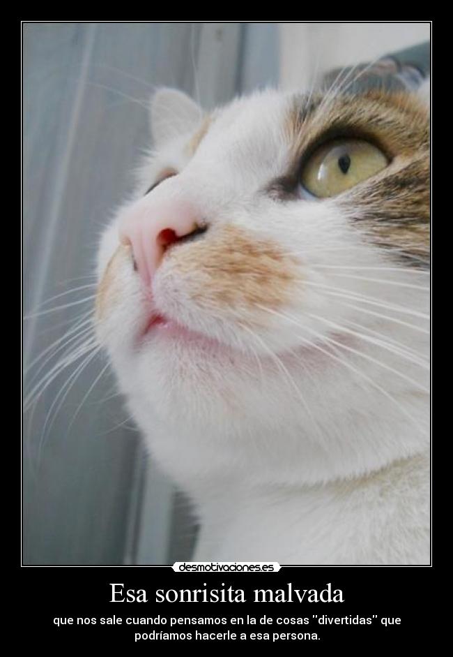 Esa sonrisita malvada -