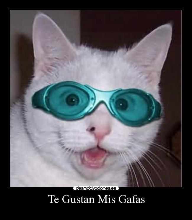 carteles gustan mis gafas desmotivaciones