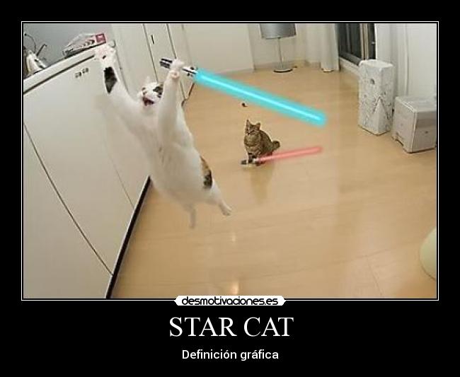 STAR CAT - 