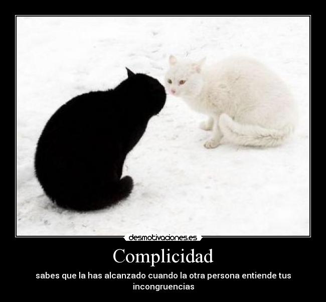Complicidad - sabes que la has alcanzado cuando la otra persona entiende tus incongruencias