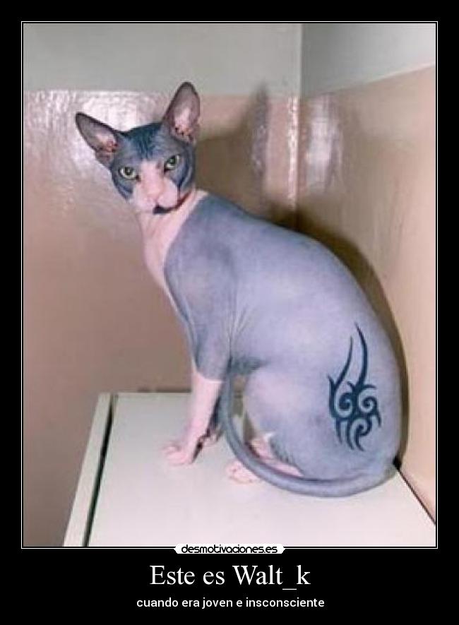 Este es Walt_k - cuando era joven e insconsciente