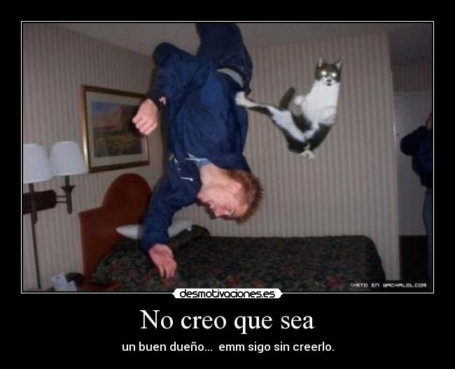 carteles loquequieras desmotivaciones