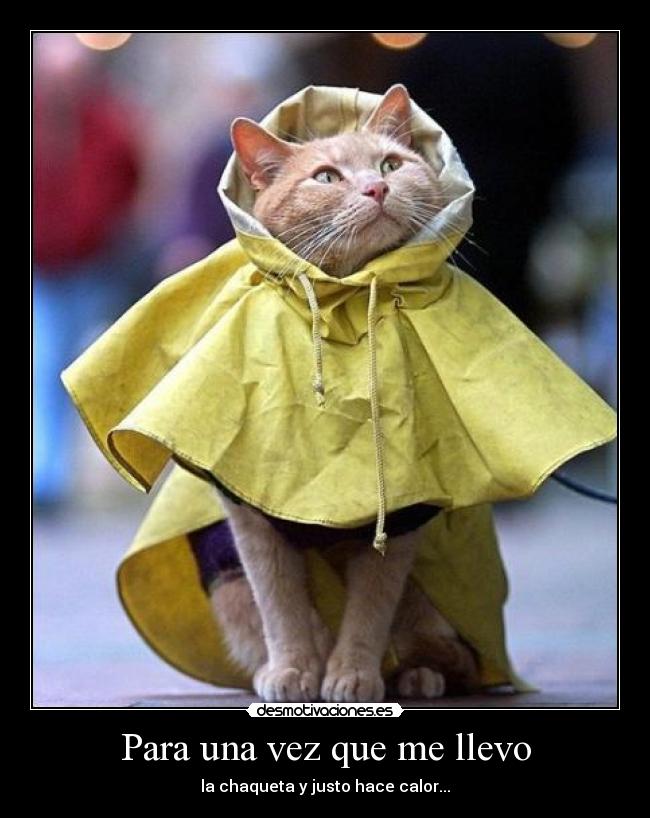 Para una vez que me llevo - la chaqueta y justo hace calor...