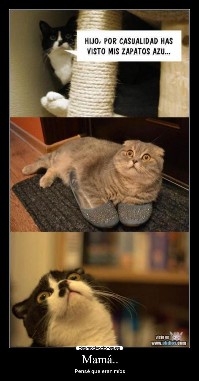 Mamá.. -