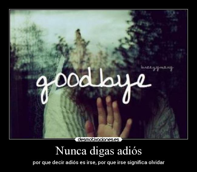 Nunca digas adiós - por que decir adiós es irse, por que irse significa olvidar