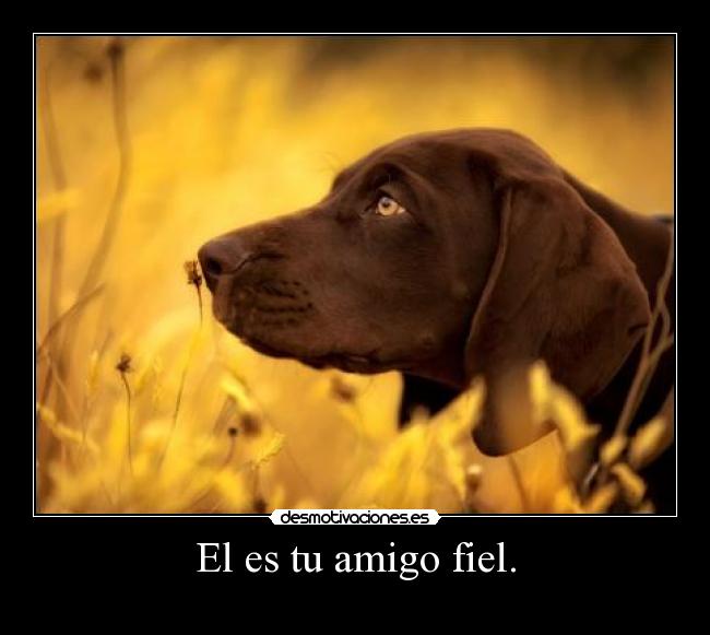 El es tu amigo fiel. -