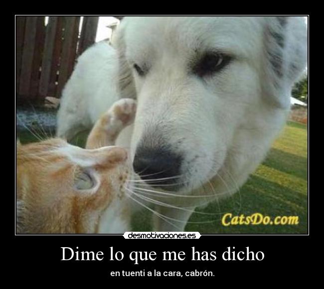 Dime lo que me has dicho - en tuenti a la cara, cabrón.