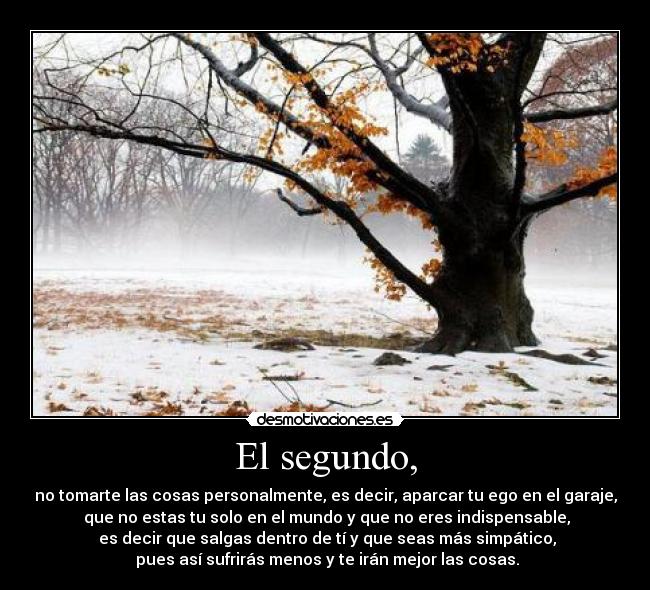 carteles los cuatro acuerdos darmo camino inestable megacartel parte desmotivaciones