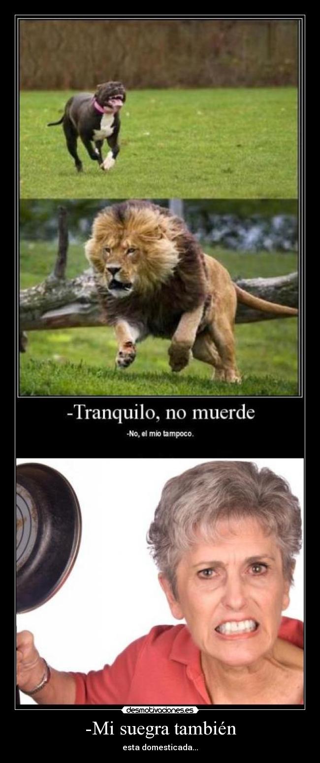 -Mi suegra también -