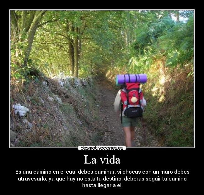 La vida - Es una camino en el cual debes caminar, si chocas con un muro debes
atravesarlo, ya que hay no esta tu destino, deberás seguir tu camino
hasta llegar a el.