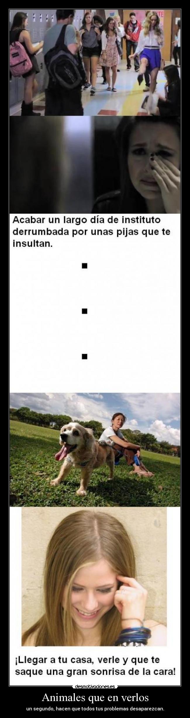 Animales que en verlos - un segundo, hacen que todos tus problemas desaparezcan.