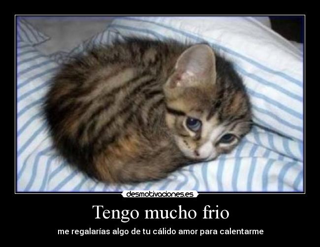 Tengo mucho frio -