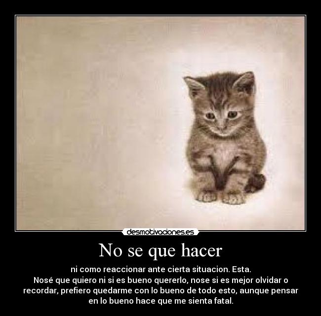 No se que hacer - ni como reaccionar ante cierta situacion. Esta.
Nosé que quiero ni si es bueno quererlo, nose si es mejor olvidar o
recordar, prefiero quedarme con lo bueno de todo esto, aunque pensar
en lo bueno hace que me sienta fatal.