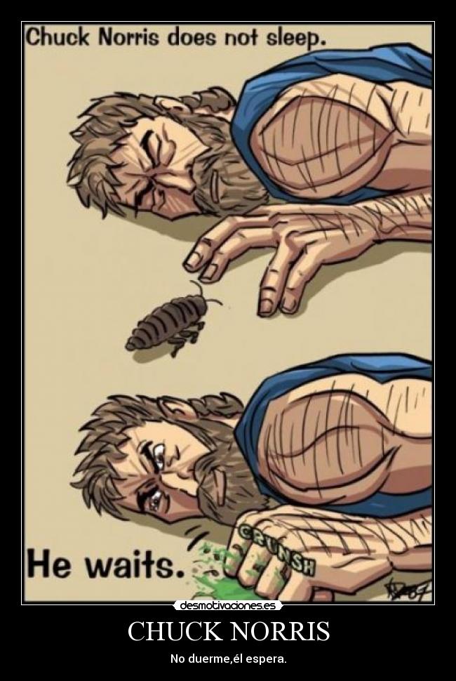CHUCK NORRIS - No duerme,él espera.