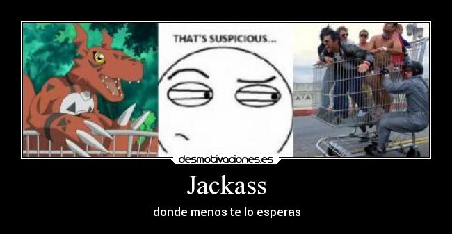 Jackass -