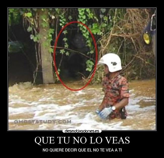 carteles mundo desmotivaciones