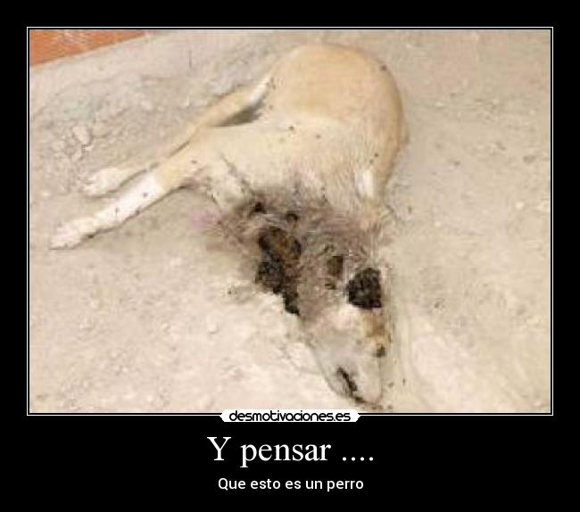 Y pensar .... - 