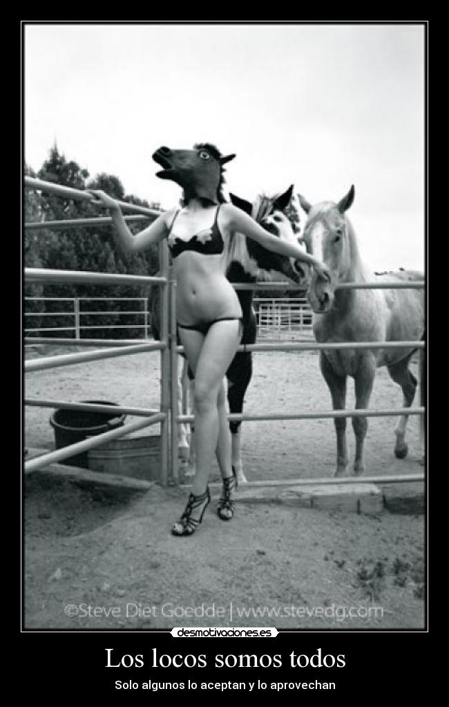 Los locos somos todos - Solo algunos lo aceptan y lo aprovechan