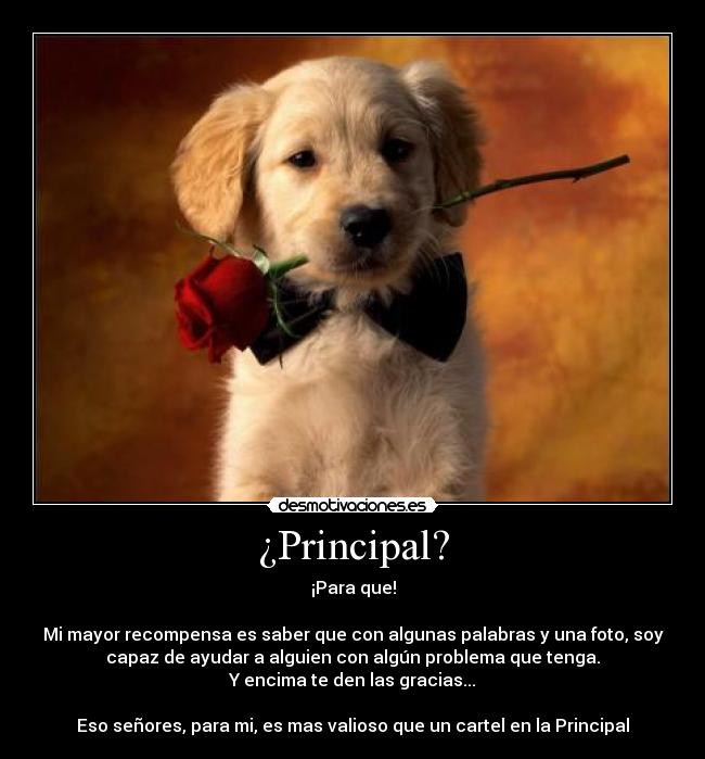 ¿Principal? - ¡Para que!

Mi mayor recompensa es saber que con algunas palabras y una foto, soy
capaz de ayudar a alguien con algún problema que tenga.
Y encima te den las gracias...

Eso señores, para mi, es mas valioso que un cartel en la Principal