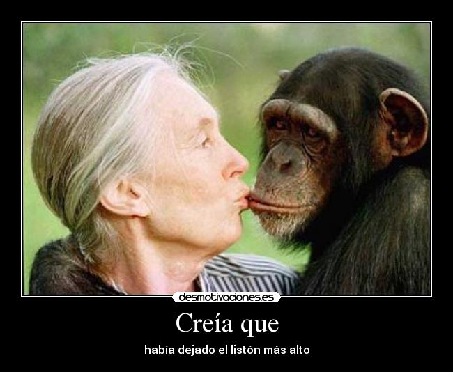 Creía que - había dejado el listón más alto