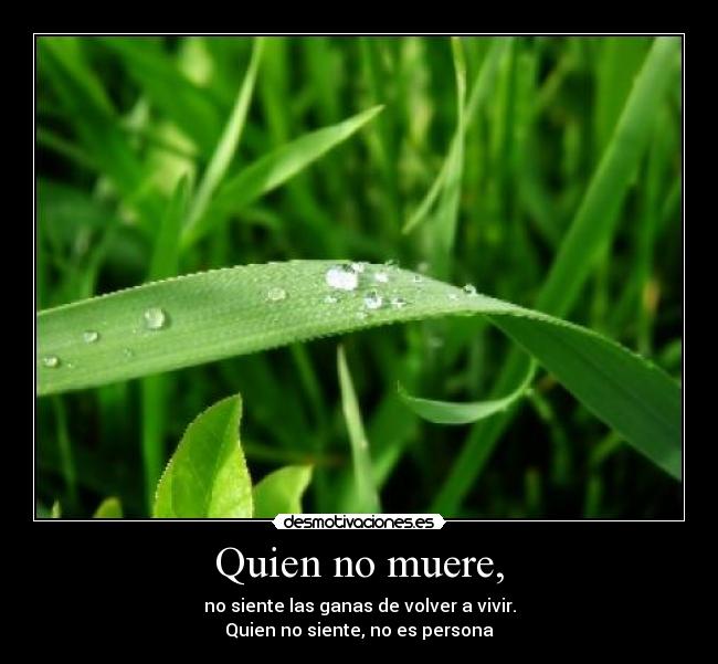 Quien no muere, -
