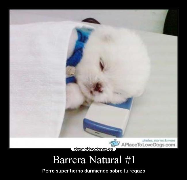 Barrera Natural #1 - 
