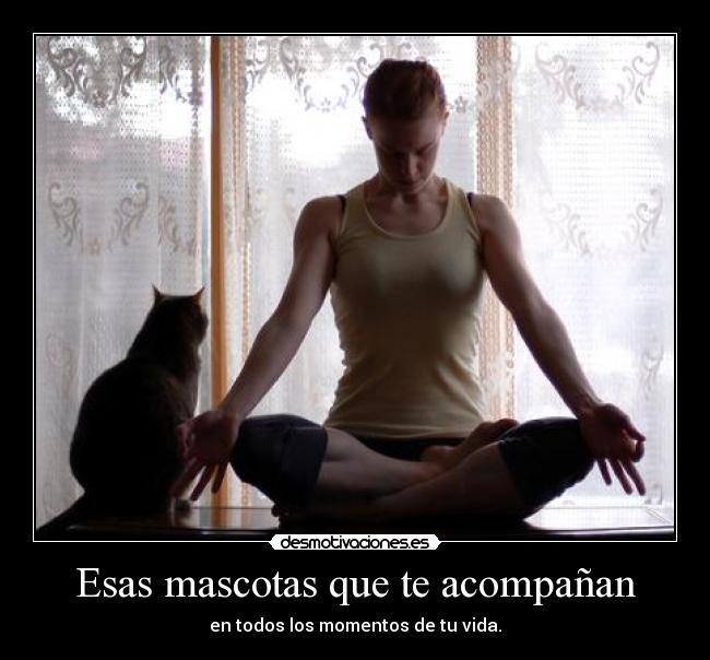 Esas mascotas que te acompañan - en todos los momentos de tu vida.