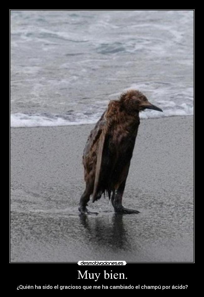 Muy bien. -