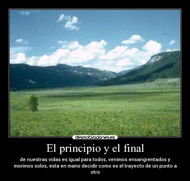 carteles vive desmotivaciones